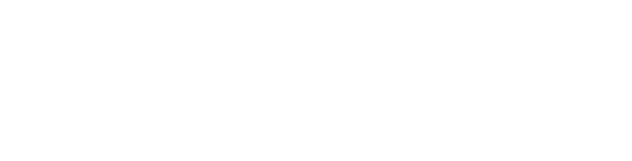 Nizor, Strategic Procurement. Trusted Results.